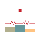 pfm-logo-footer
